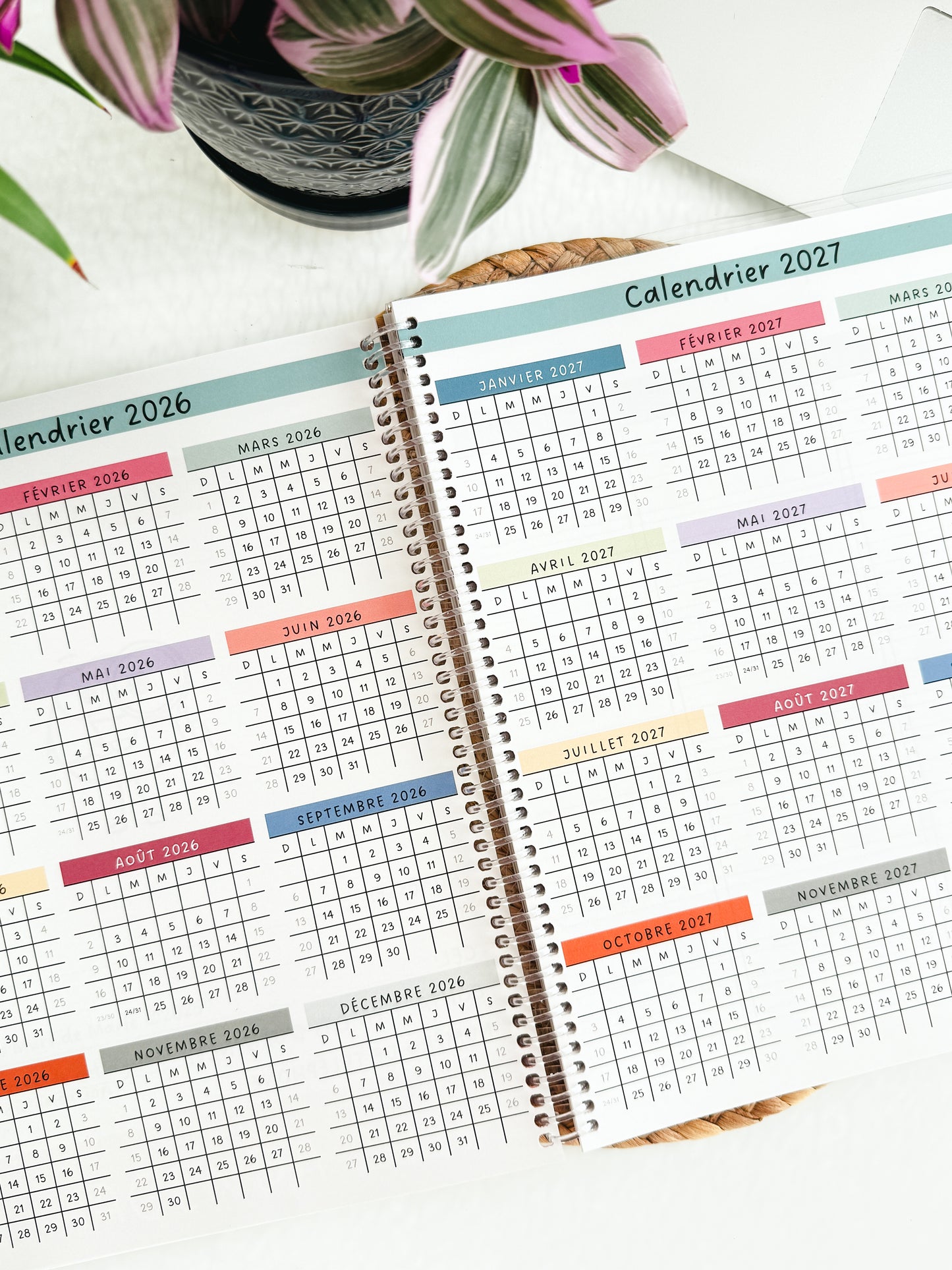 AGENDA GRAND PUBLIC 2026 Bloom