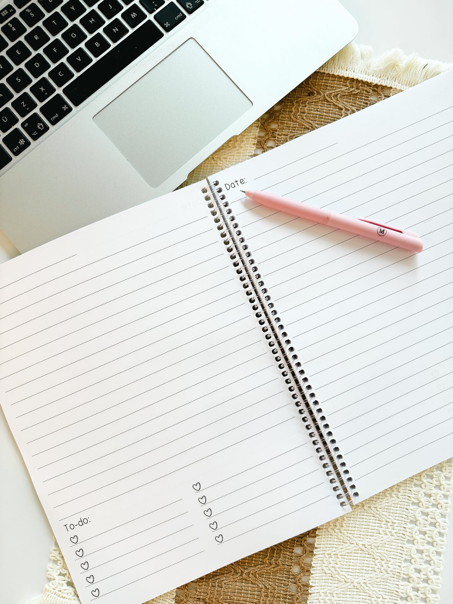 Cahier de Notes Silly Goose
