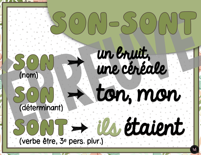 Homophones *Collection Couleurs Douces*