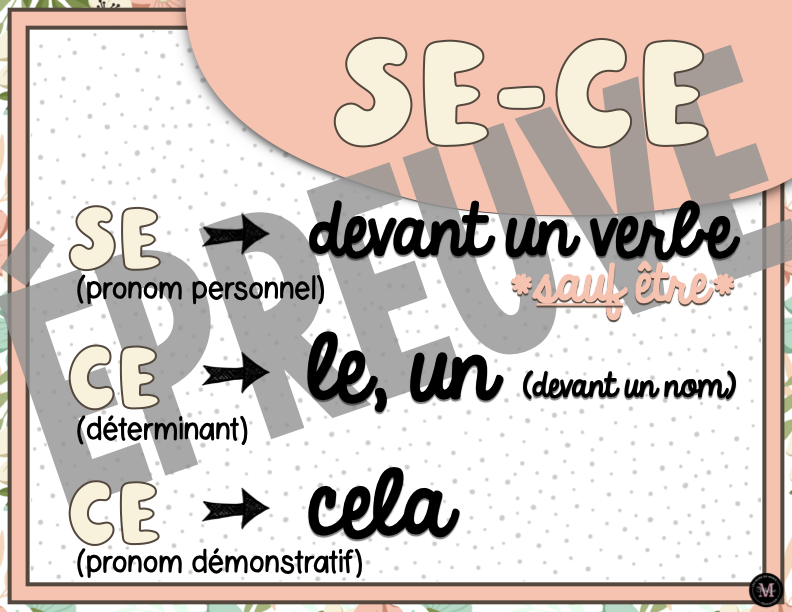 Homophones *Collection Couleurs Douces*