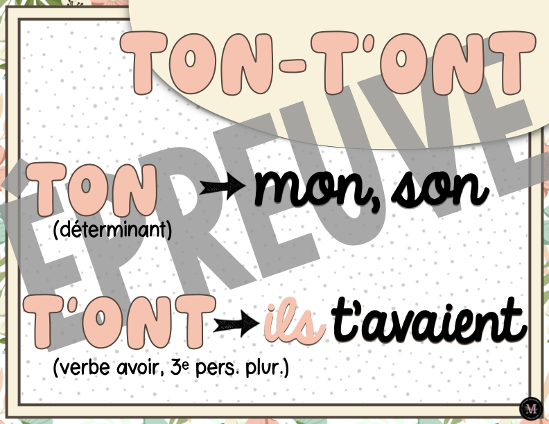 Homophones *Collection Couleurs Douces*