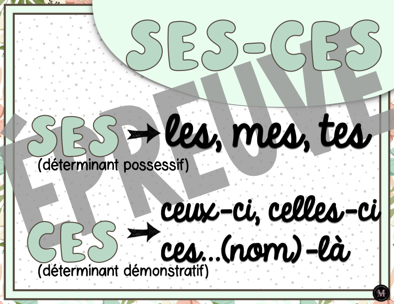 Homophones *Collection Couleurs Douces*