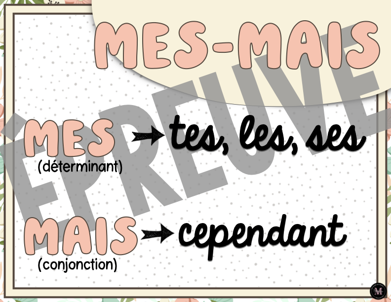Homophones *Collection Couleurs Douces*