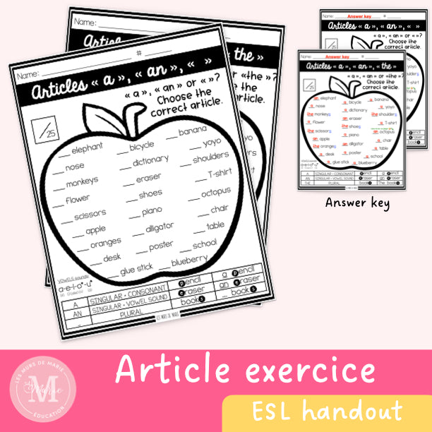 Articles "a" "an" or "no article" exercise