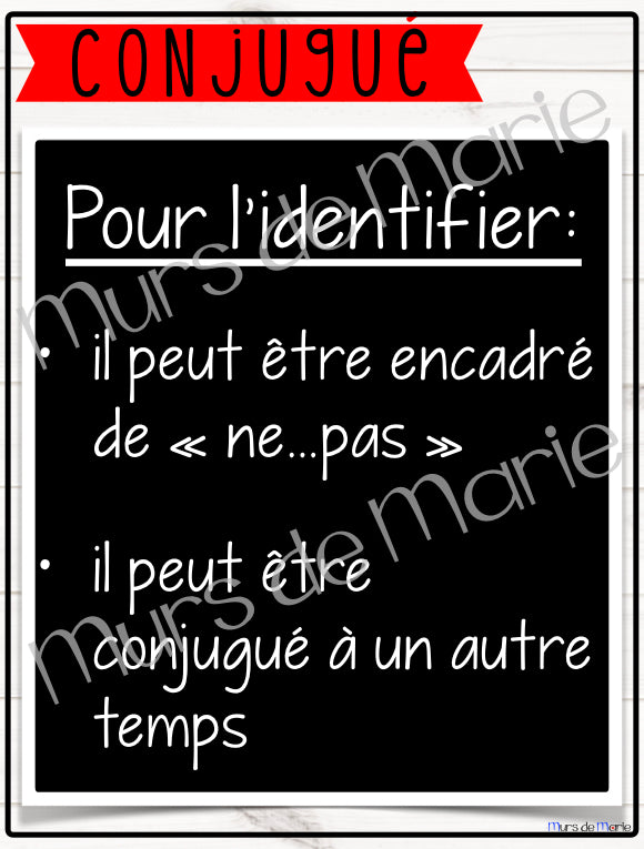 LA CLASSE DES MOTS