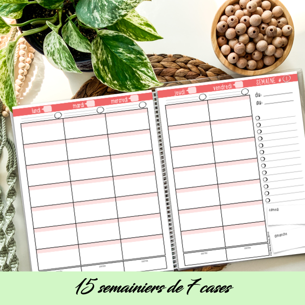 PDF SECTION STAGE EN ENSEIGNEMENT