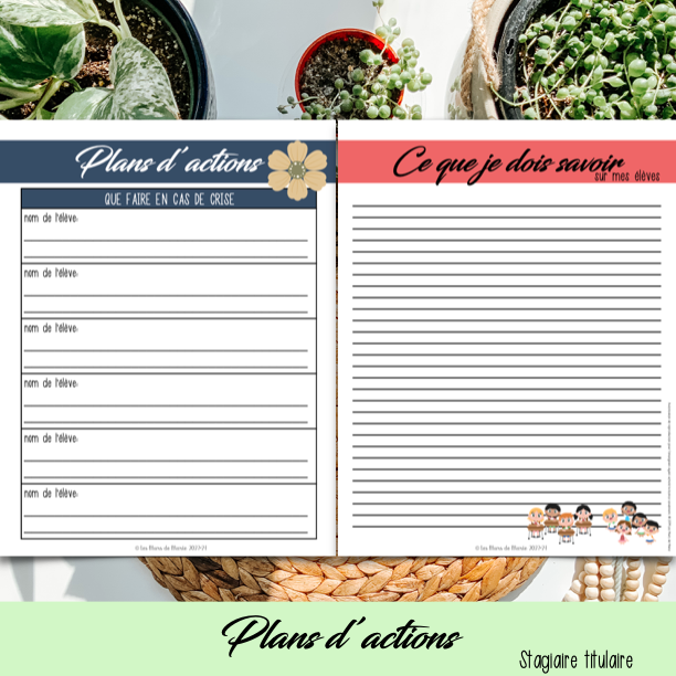 PDF SECTION STAGE EN ENSEIGNEMENT