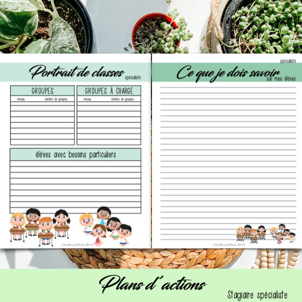 PDF SECTION STAGE EN ENSEIGNEMENT