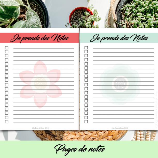 PDF SECTION STAGE EN ENSEIGNEMENT