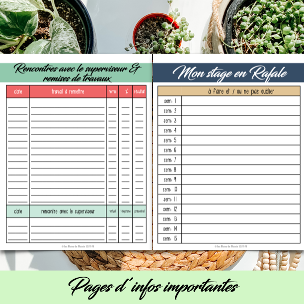 PDF SECTION STAGE EN ENSEIGNEMENT