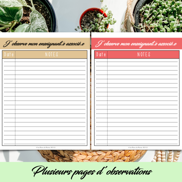 PDF SECTION STAGE EN ENSEIGNEMENT