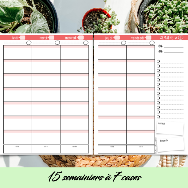 PDF SECTION STAGE EN ENSEIGNEMENT
