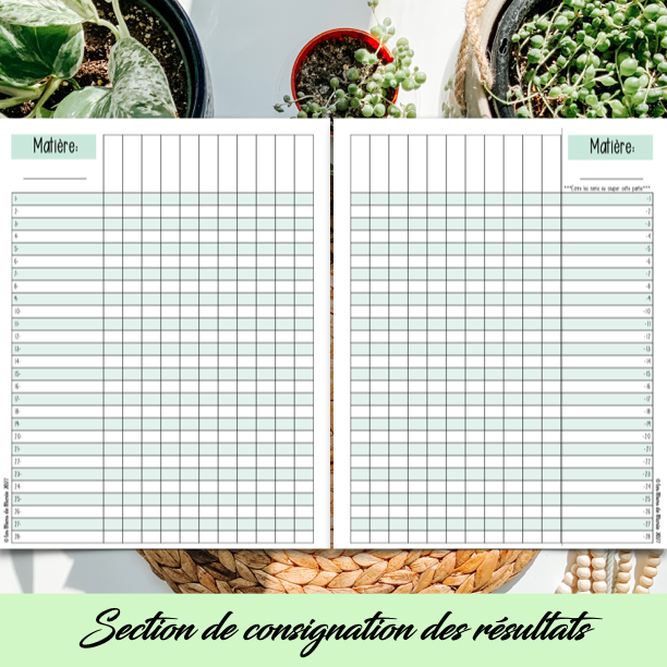 PDF SECTION STAGE EN ENSEIGNEMENT