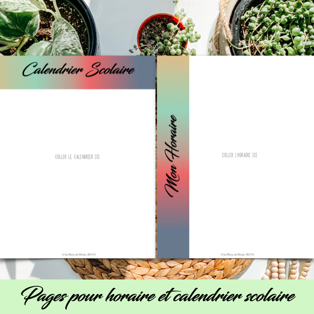 PDF SECTION STAGE EN ENSEIGNEMENT