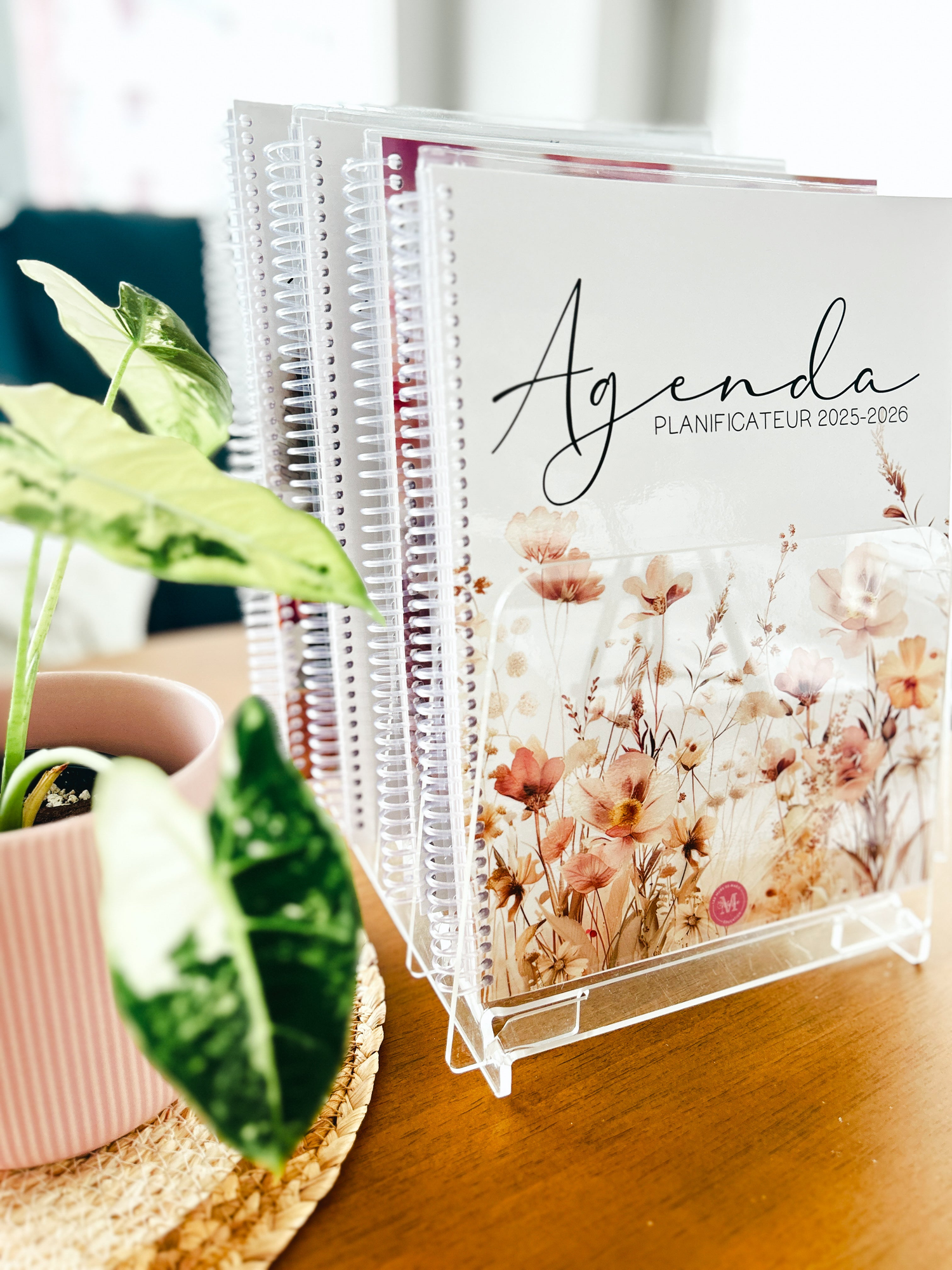 AGENDAS / PLANIFICATEURS