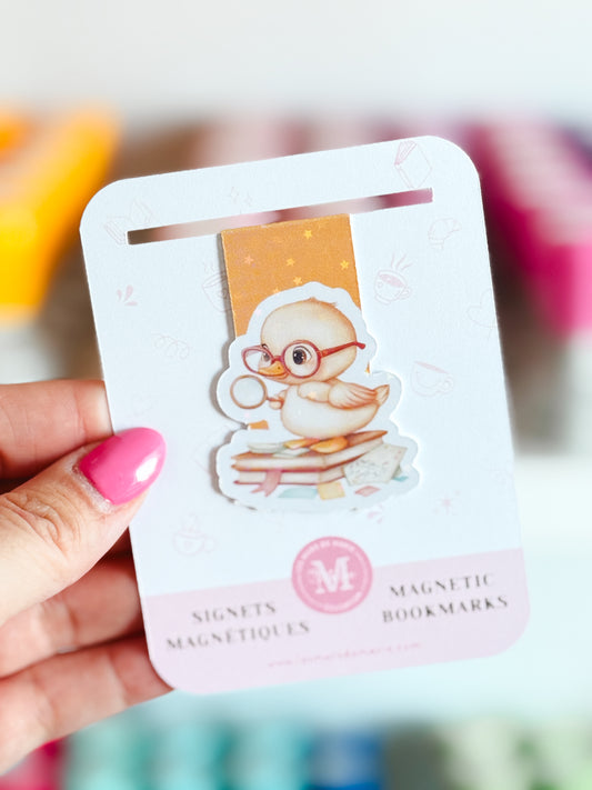 Signet magnétique canard