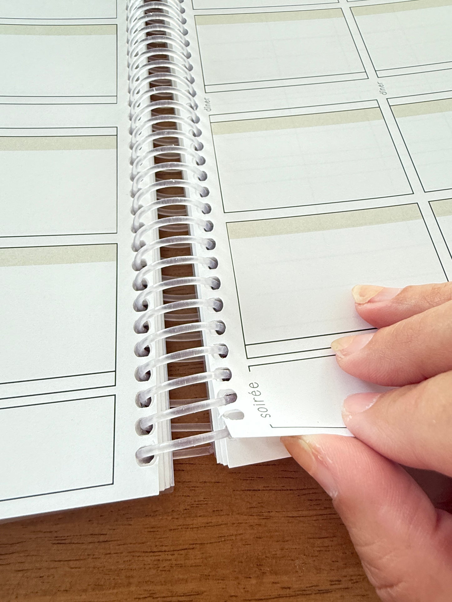 AGENDAS IMPARFAITS