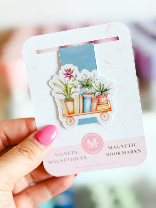 Signet magnétique bouquins