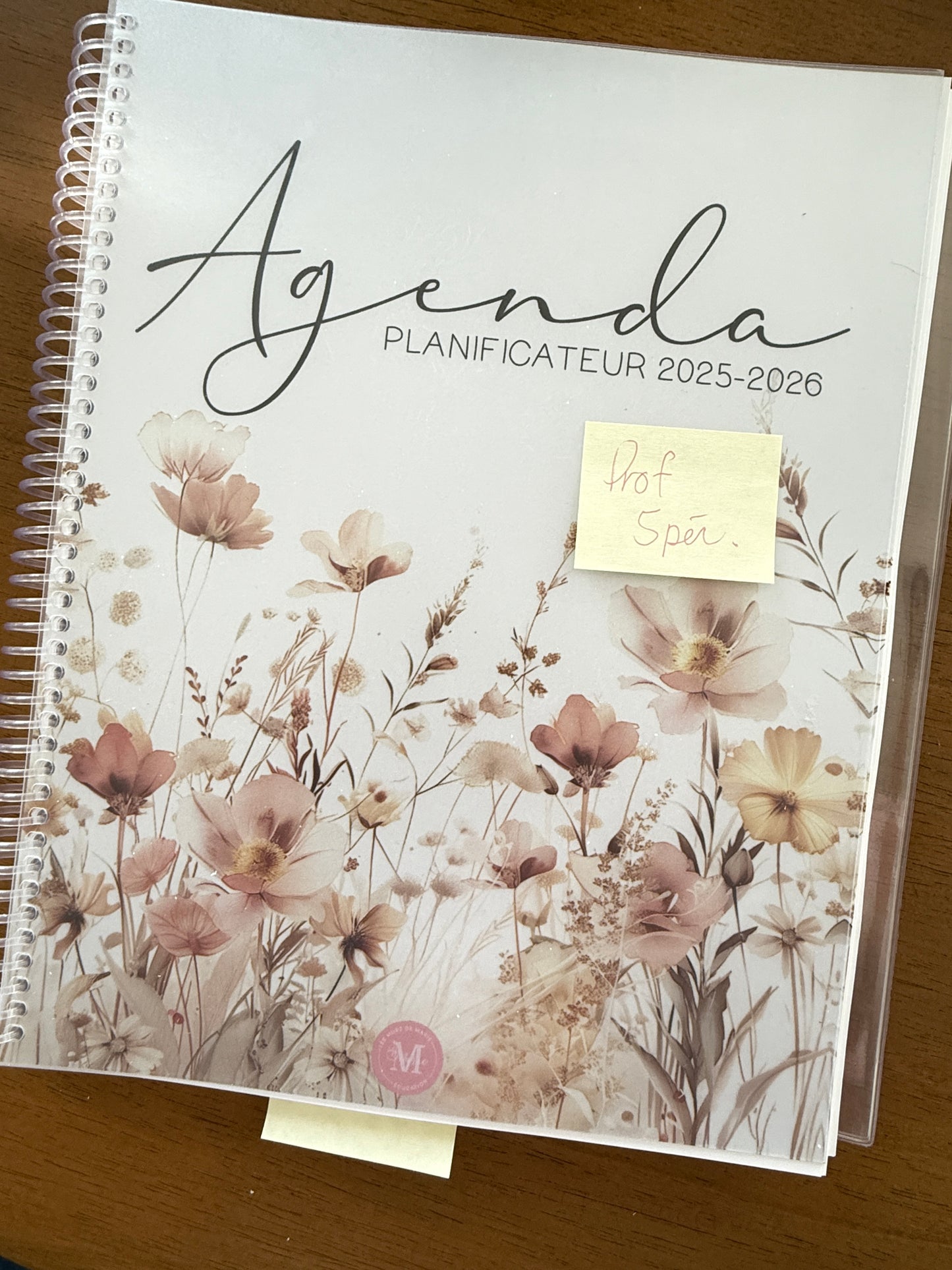 AGENDAS IMPARFAITS