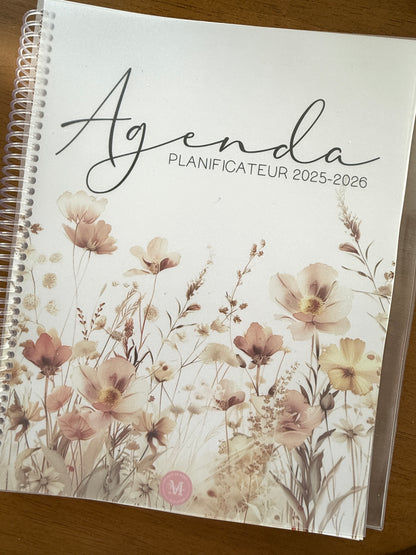 AGENDAS IMPARFAITS