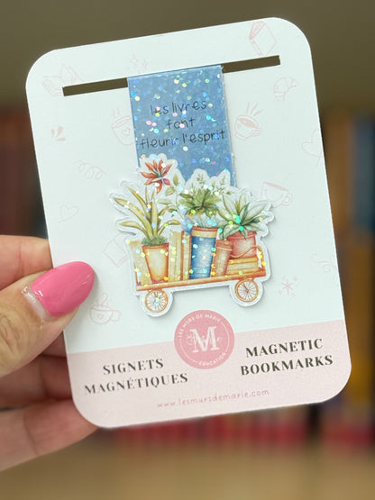 Signet magnétique bouquins