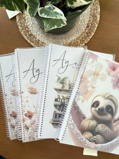 AGENDAS IMPARFAITS