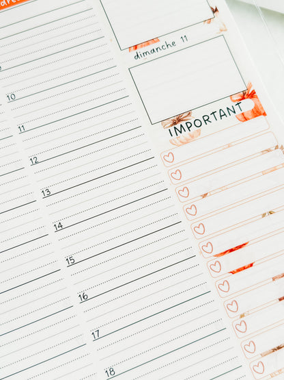AGENDA GRAND PUBLIC 2026 Bloom