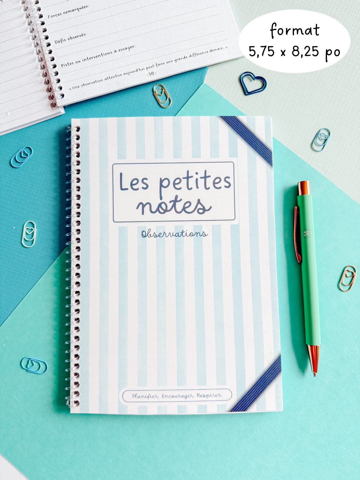Les petites notes - Observations