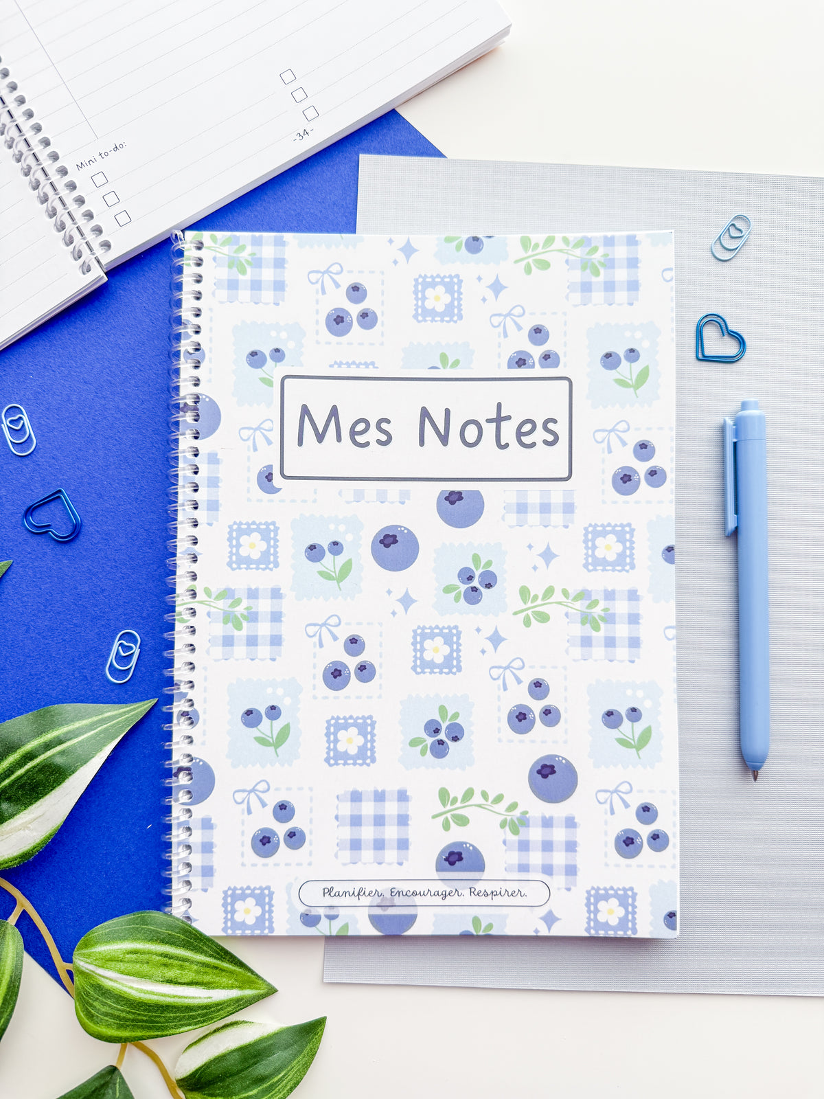 Cahier de Notes Bleuette