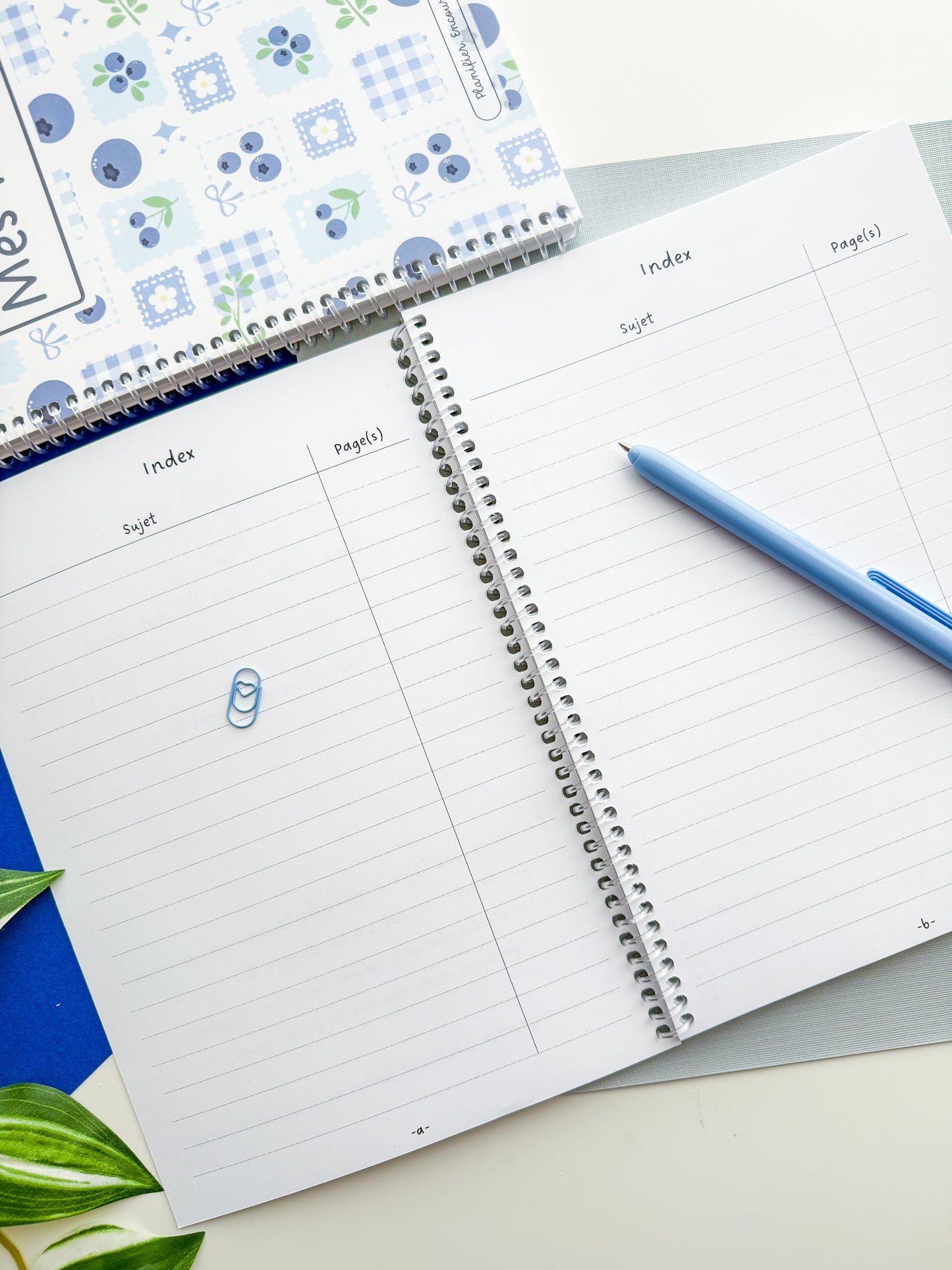 Cahier de Notes Bleuette