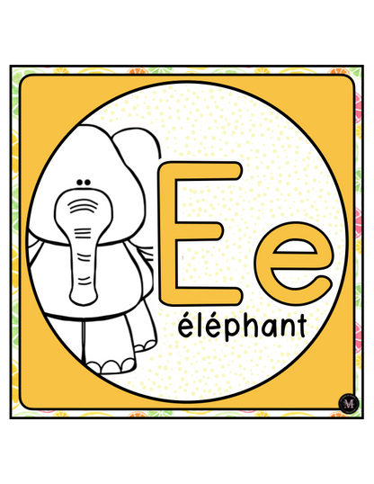 Alphabet *Collection Agrumes*