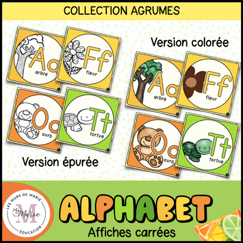 Alphabet *Collection Agrumes*