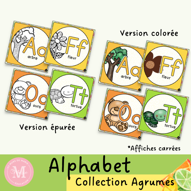 Alphabet *Collection Agrumes*