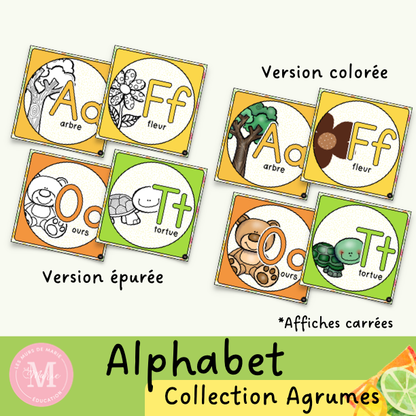 Alphabet *Collection Agrumes*