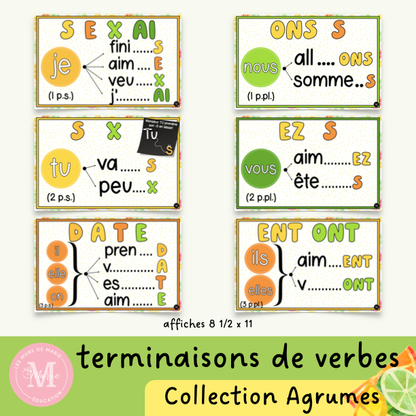 Terminaisons de Verbes *Collection Agrumes*