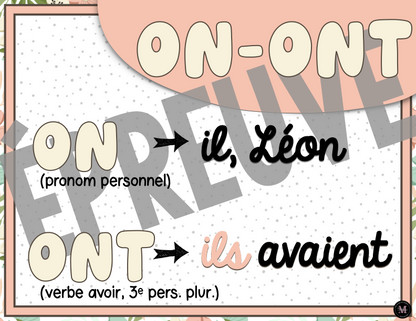 Homophones *Collection Couleurs Douces*
