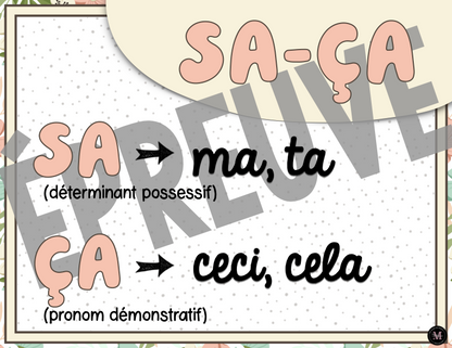 Homophones *Collection Couleurs Douces*