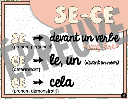 Homophones *Collection Couleurs Douces*