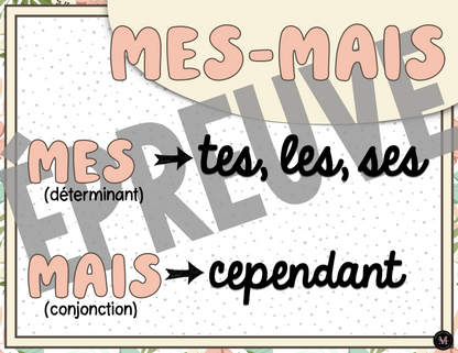 Homophones *Collection Couleurs Douces*