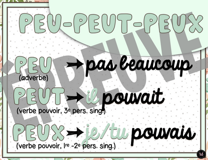 Homophones *Collection Couleurs Douces*