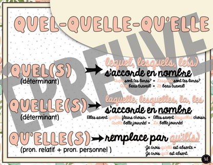 Homophones *Collection Couleurs Douces*