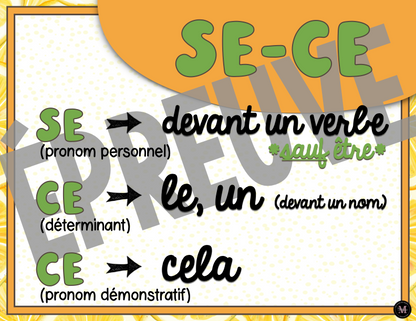 Homophones *Collection Agrumes*