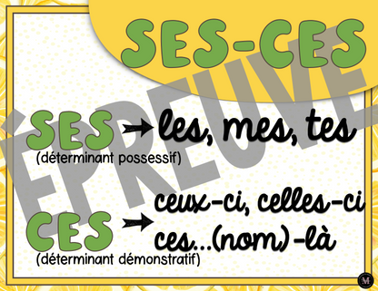 Homophones *Collection Agrumes*
