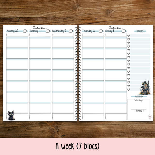 PDF TEACHER PLANNER 2024-2025