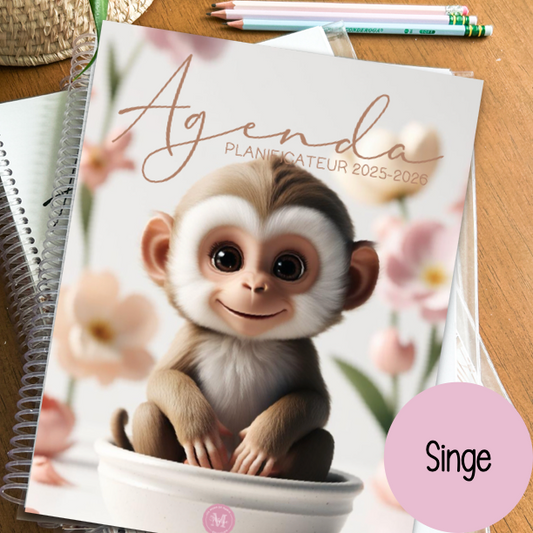 agenda ENSEIGNANTS 2025-2026 SINGE
