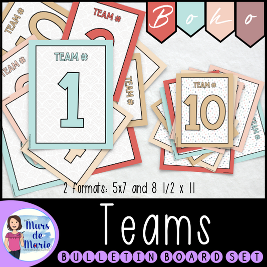 BOHO THEME TEAM POSTERS - CLASSROOM DECOR