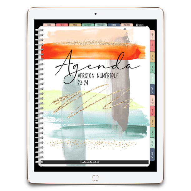 Agenda Numérique France 2024 : Planificateur Quotidien Animé et Coloré pour  iPad