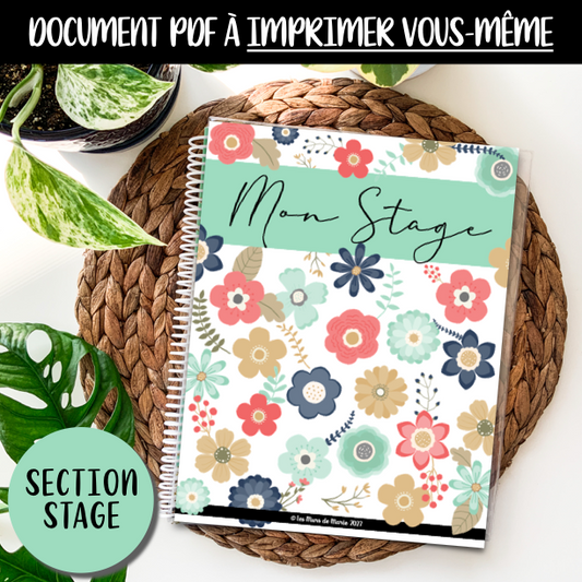PDF SECTION STAGE EN ENSEIGNEMENT