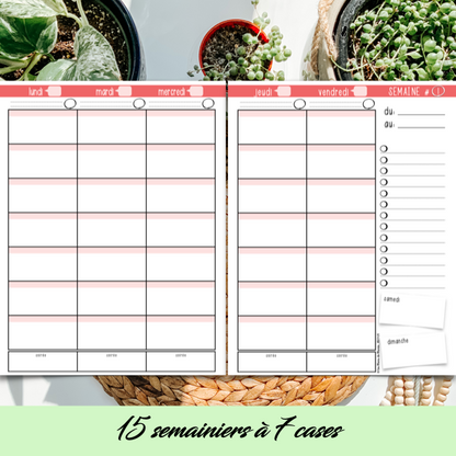 PDF SECTION STAGE EN ENSEIGNEMENT