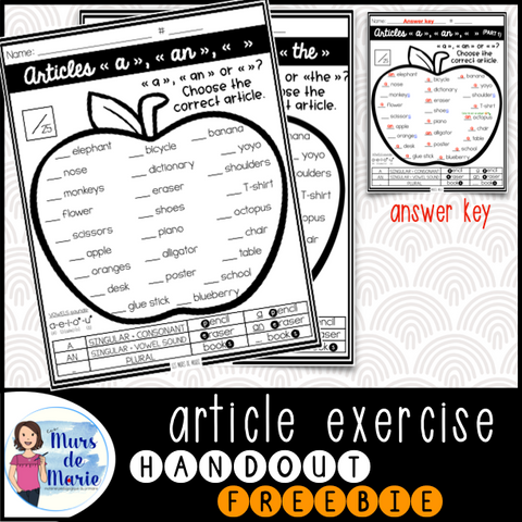 ARTICLES "A" "AN" OR "NO ARTICLE" EXERCISE